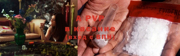 гашик Осинники