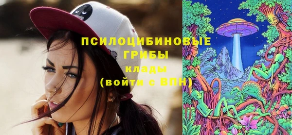 ГАЛЛЮЦИНОГЕННЫЕ ГРИБЫ Елизово